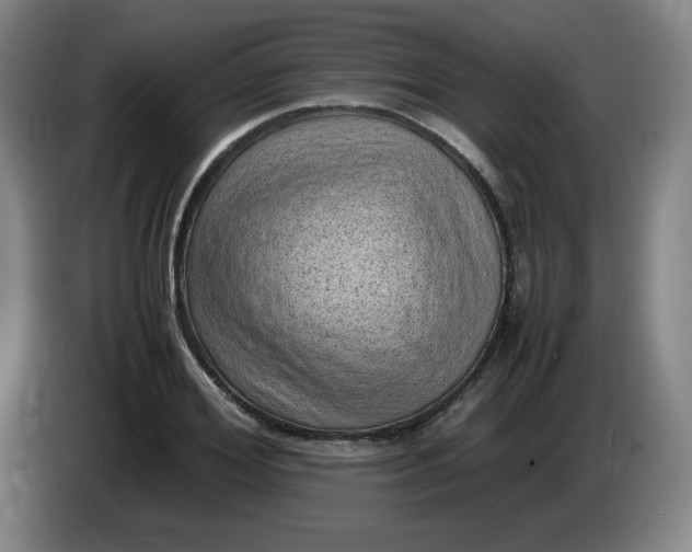 X0000086280980200704191942