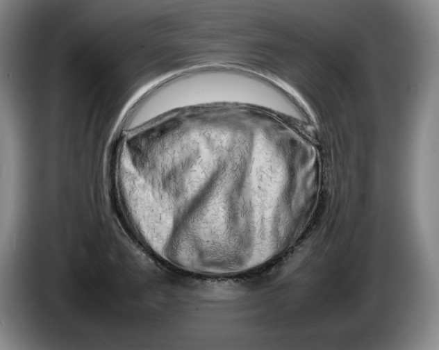 X0000086280983200704191942