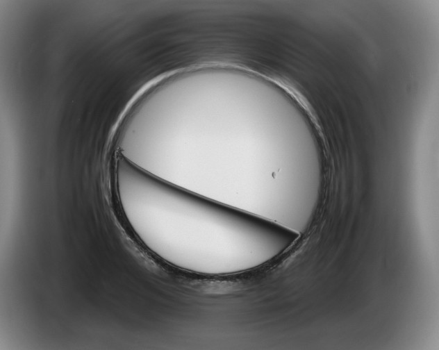 X0000086280984200704191942