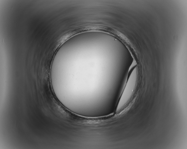 X0000086280985200704191942