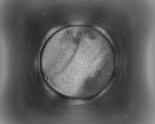 X0000086280986200704191942