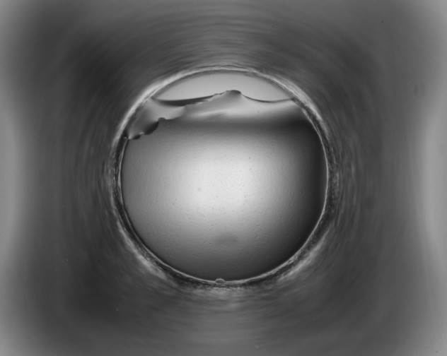 X0000086280989200704191942