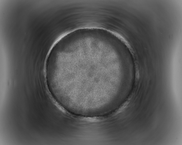 X0000086280990200704191942