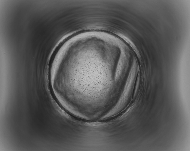 X0000086280992200704191942