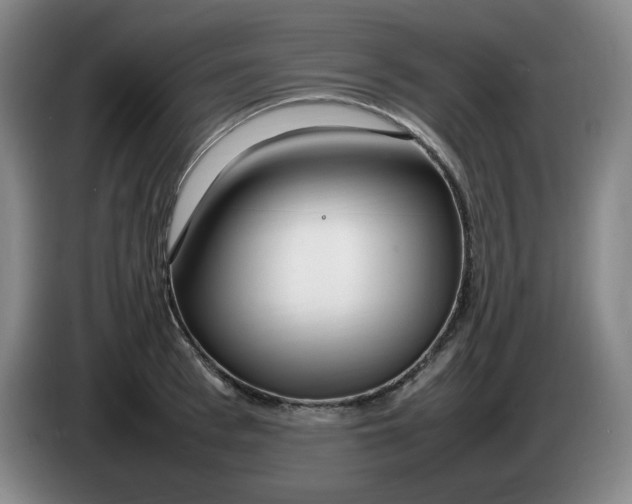 X0000086280993200704191942