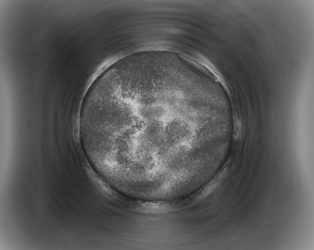 X0000086280994200704191942