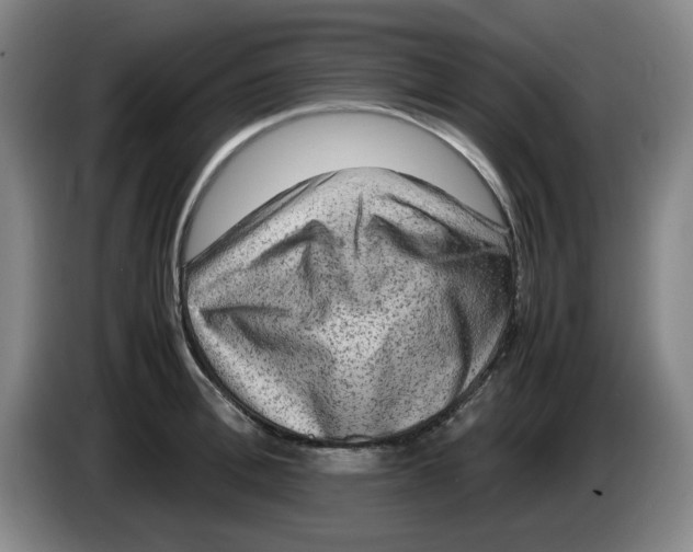 X0000086280996200704191942