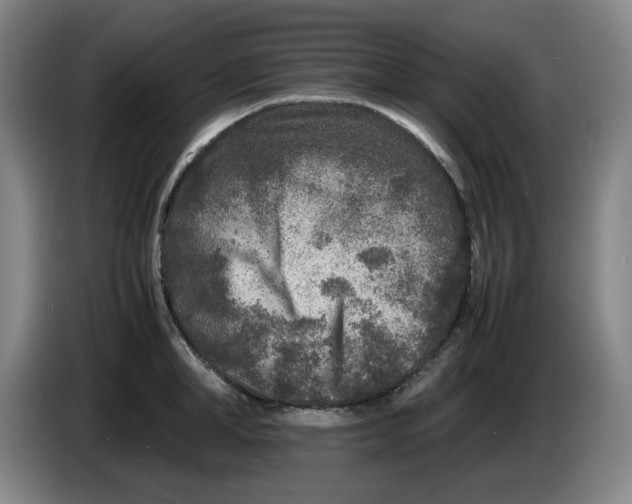 X0000086280998200704191942