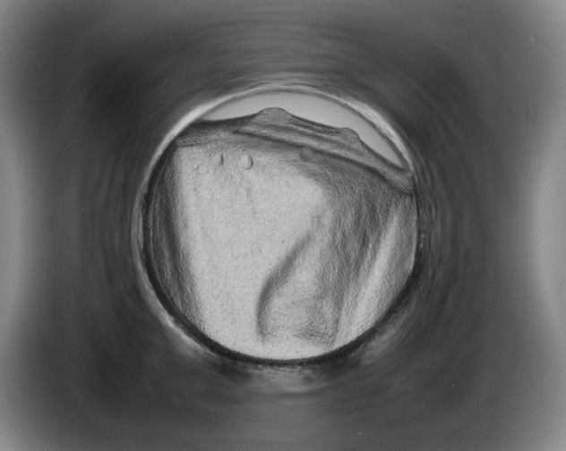 X0000086280999200704191942