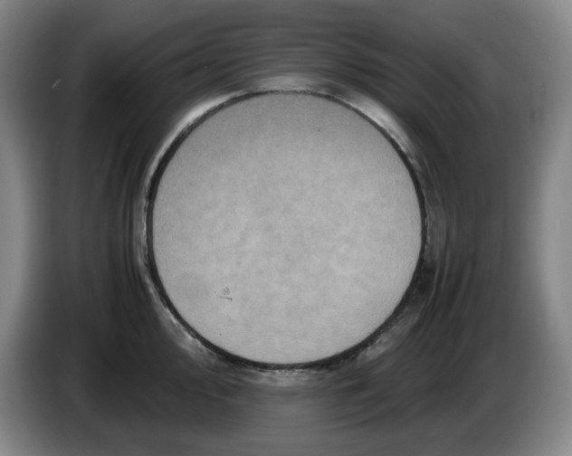 X0000086281000200704191942