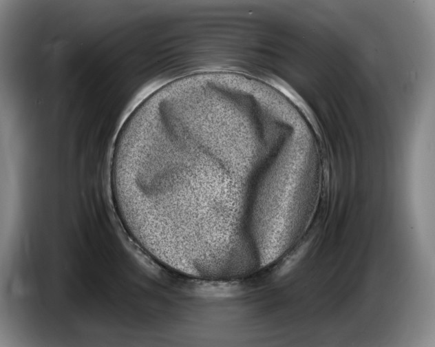 X0000086281002200704191942