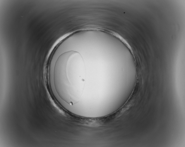 X0000086281003200704191942