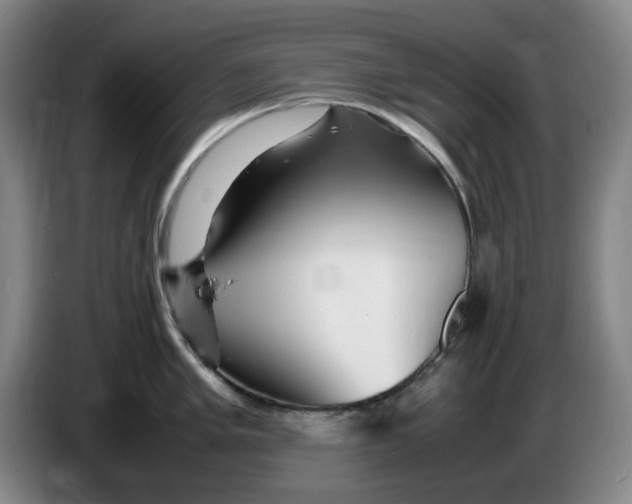 X0000086281005200704191942