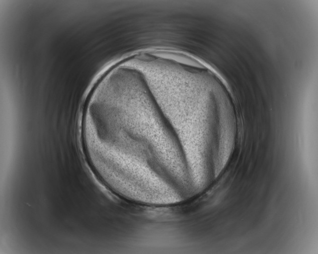 X0000086281006200704191942