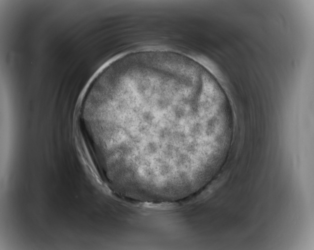 X0000086281008200704191942