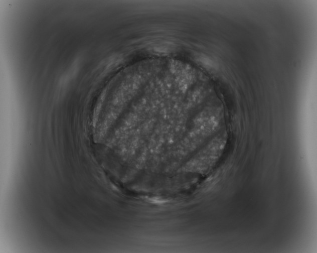 X0000086281009200704191941