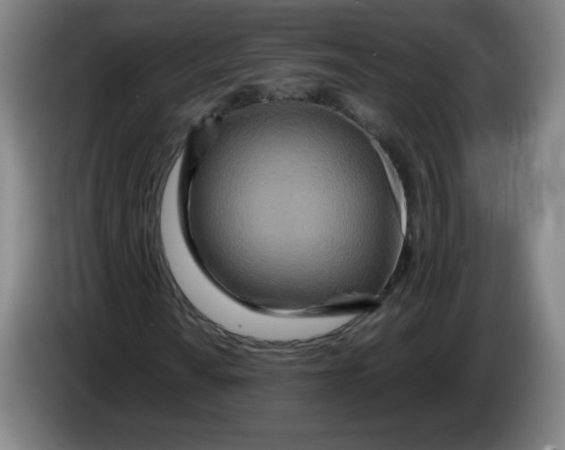 X0000086281010200704191941