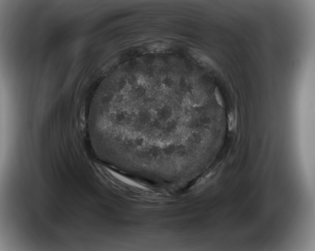 X0000086281011200704191941