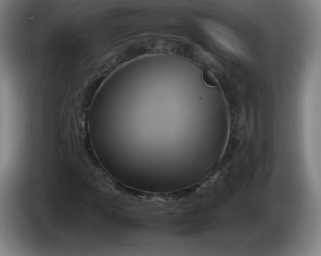 X0000086281013200704191941