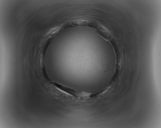 X0000086281014200704191941