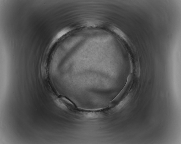 X0000086281018200704191941