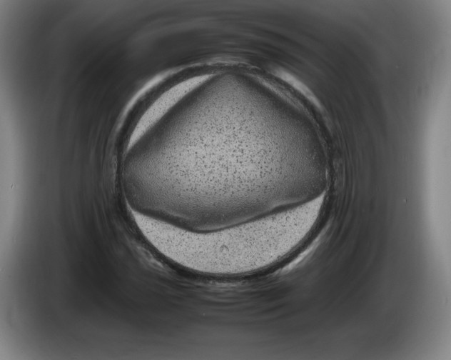 X0000086281021200704191941