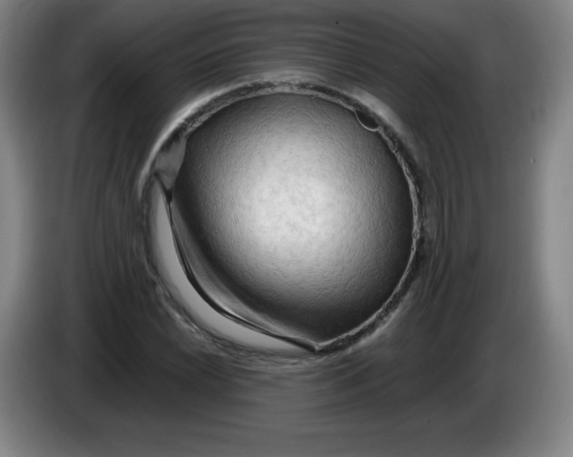 X0000086281022200704191941