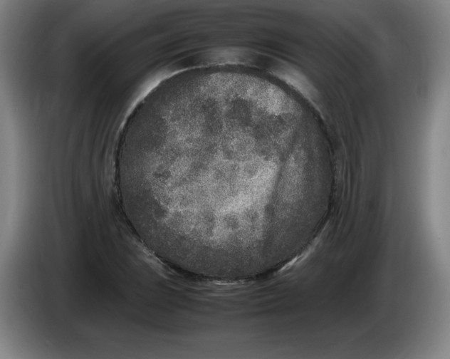 X0000086281023200704191941