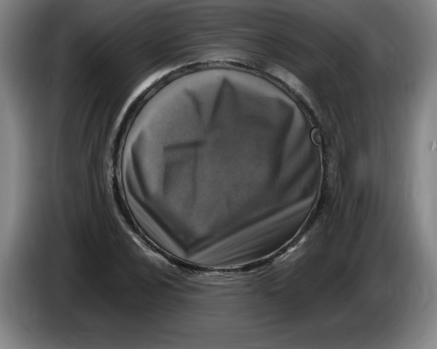 X0000086281024200704191942