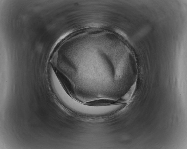 X0000086281026200704191942