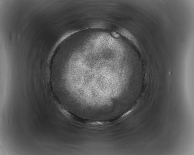 X0000086281027200704191942