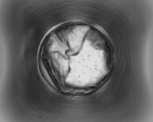 X0000086281028200704191942