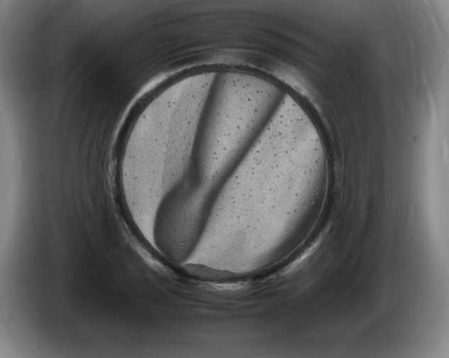 X0000086281029200704191942