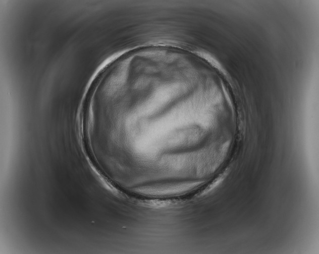 X0000086281032200704191942