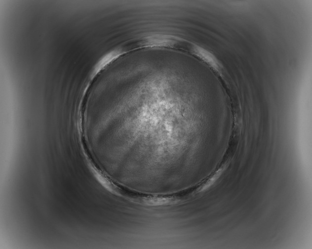 X0000086281034200704191942