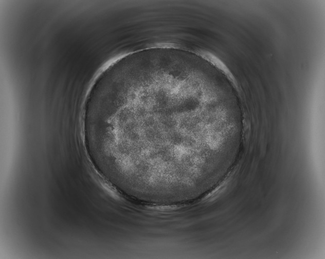 X0000086281035200704191942