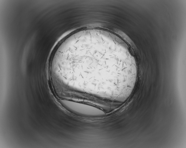 X0000086281036200704191942