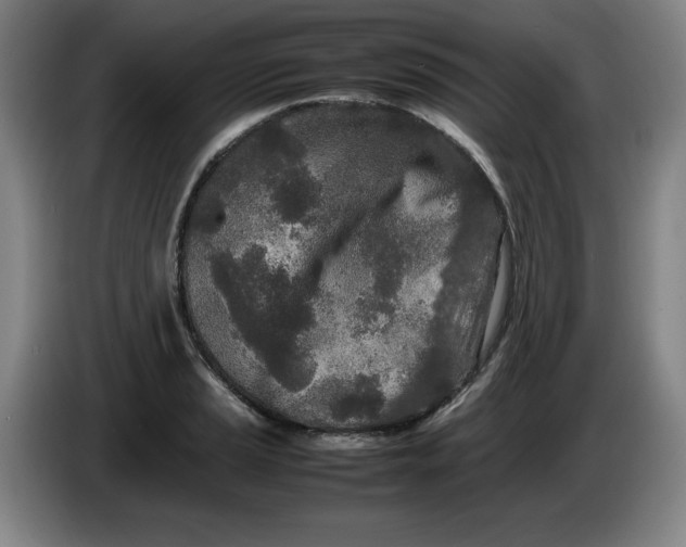 X0000086281037200704191942