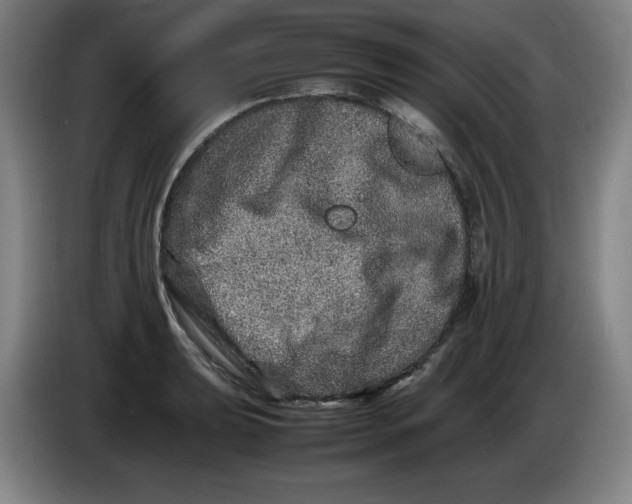 X0000086281039200704191942