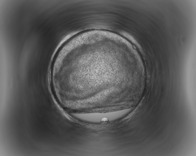 X0000086281040200704191942