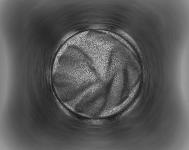 X0000086281041200704191942