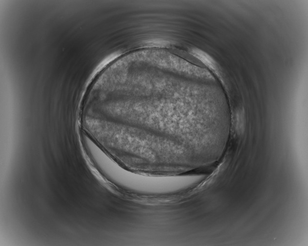 X0000086281042200704191942