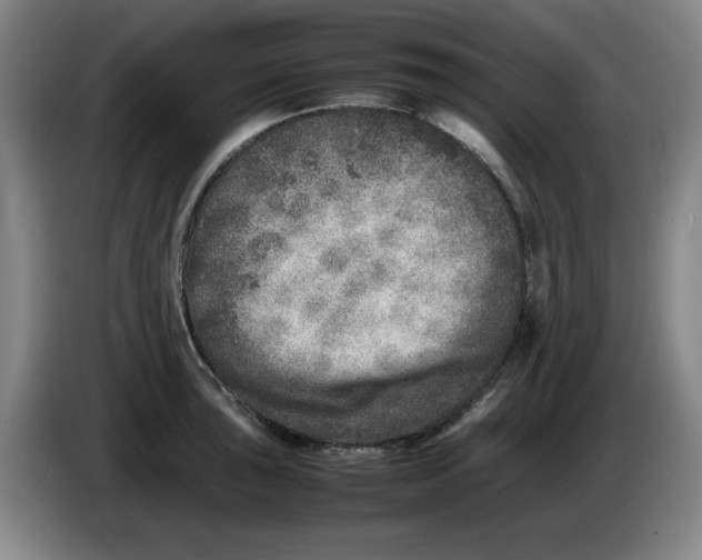 X0000086281043200704191942