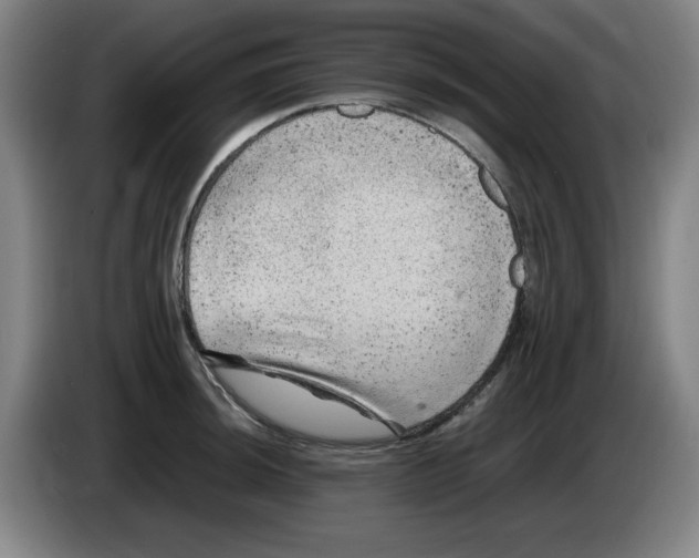 X0000086281044200704191942