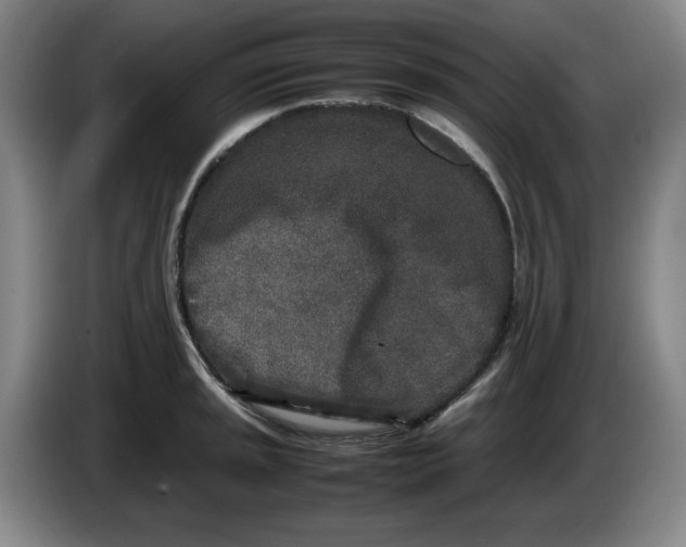 X0000086281045200704191942