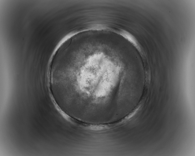 X0000086281046200704191942