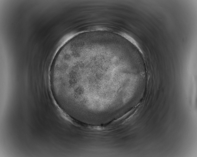 X0000086281047200704191942