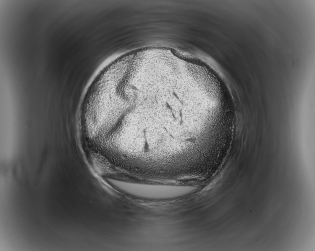 X0000086281048200704191942