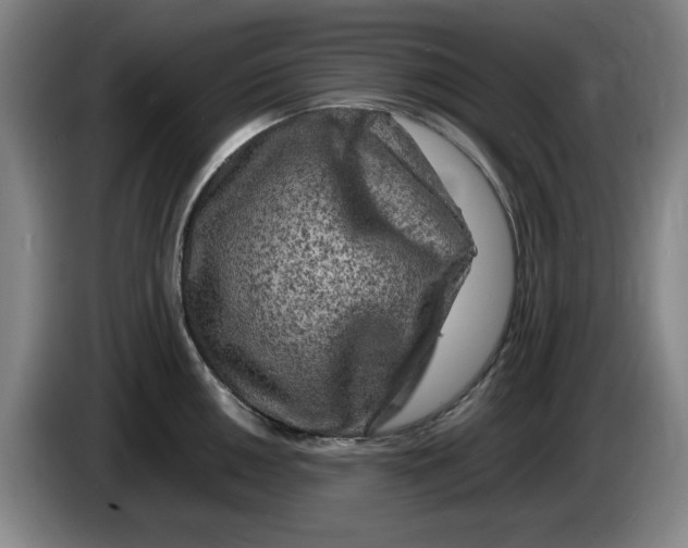 X0000086281050200704191942