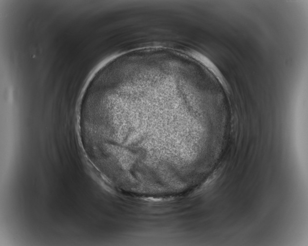 X0000086281051200704191942